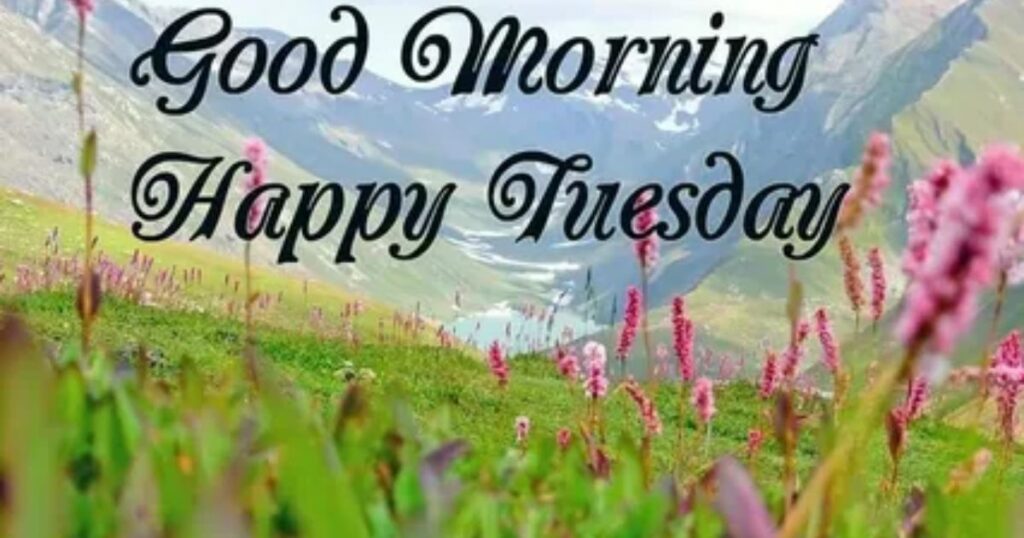 Good Morning Tuesday Blessings to Uplift Your Spirit
