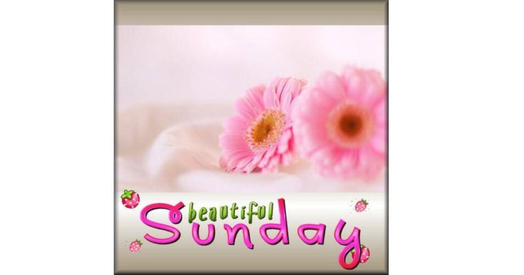 On this beautiful Sunday,