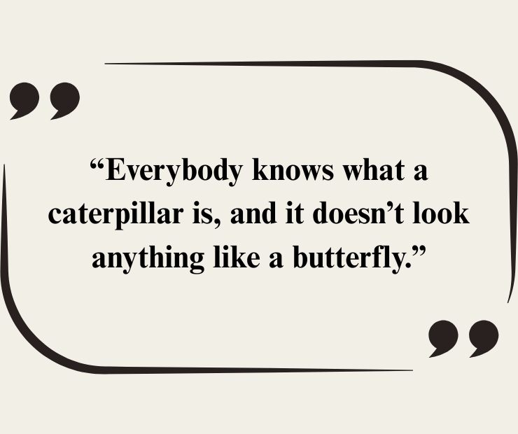 Quotes about Butterflies